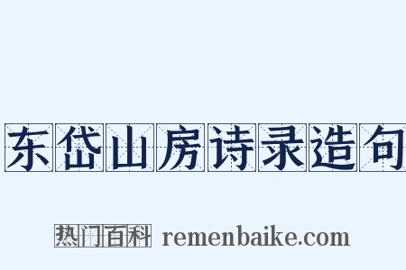 东岱山房诗录造句是什么意思的图片
